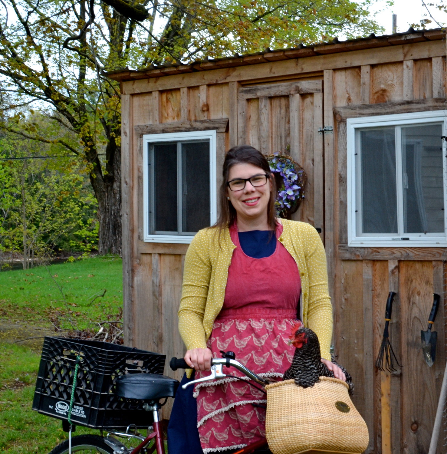 The Chicken Librarian doing what she does best: Trying to get the chickens to pose for pictures. Here is Gertie McGhee, who is not happy with being placed in a bike basket. Chicken Librarian dreams of taking bike rides with chickens while wearing chicken aprons. All in a day’s work.